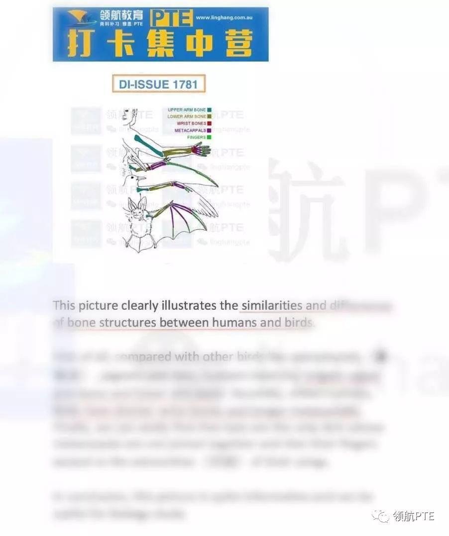 从PTE小白到8炸高分选手！2019领航PTE100天免费打卡计划！